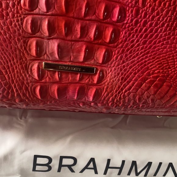 The love of a Bold Brahmin! A gorgeous coral bag, Wow! - Picture 5 of 13